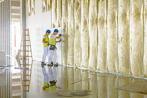 Best Insulation for New Construction  in Vineland, NJ